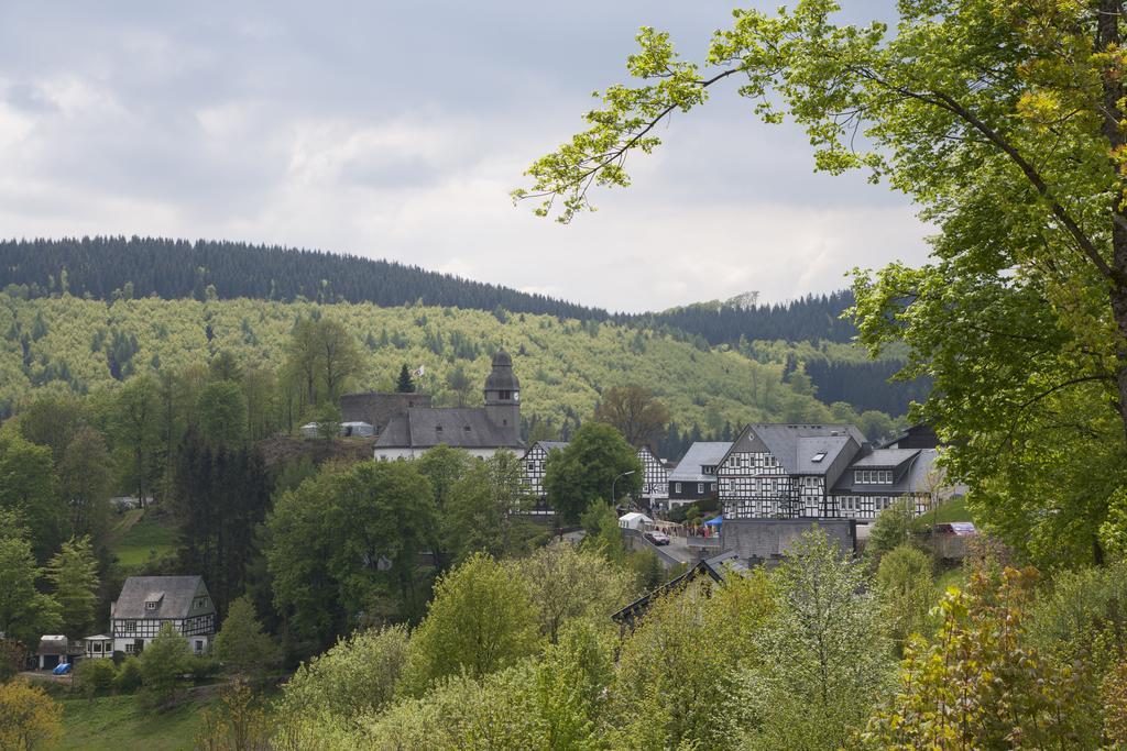 Pension Beste-Schnurbus Schmallenberg Extérieur photo